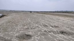 ছবি সংগৃহীত