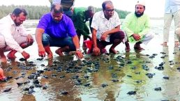ছবি সংগৃহীত